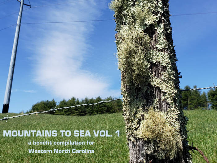 Mountains to Sea Vol. 1 — Available Now!