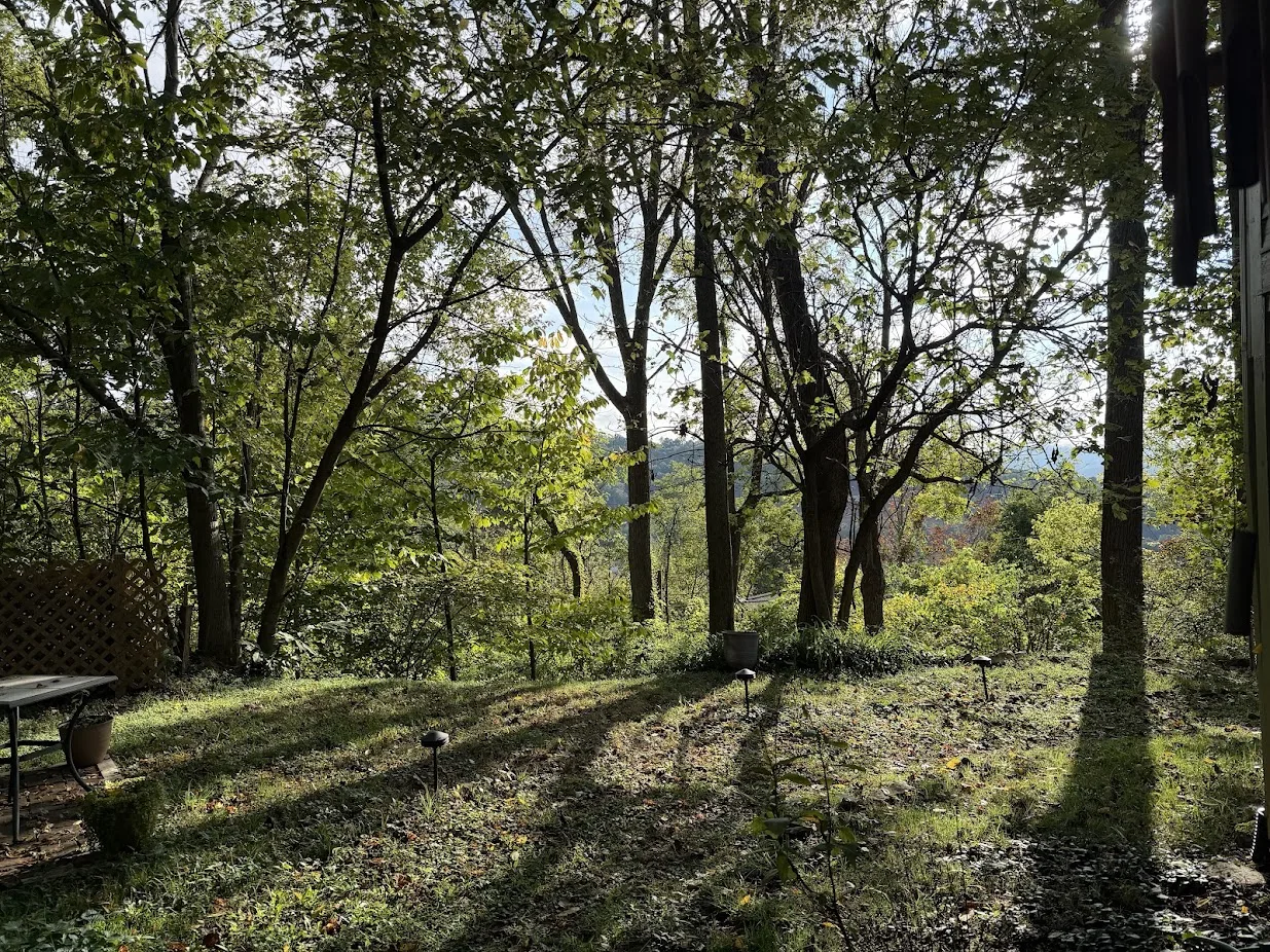 Bonus Track: November 2025